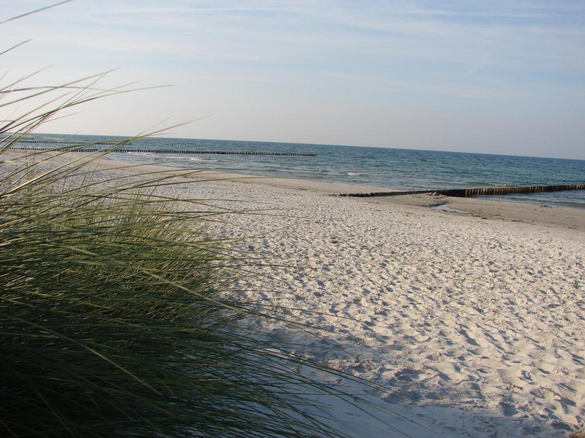 Apartamento Hausnora - Zingst Exterior foto
